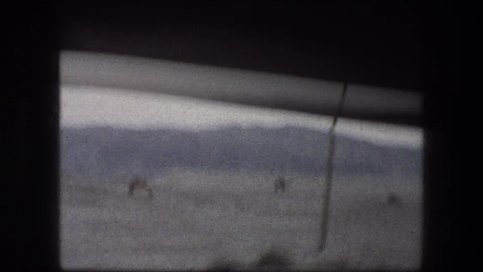 1976 Messada, Israel 8mm view of small camel figures on open desert terrain, partially framed by a vehicle window.