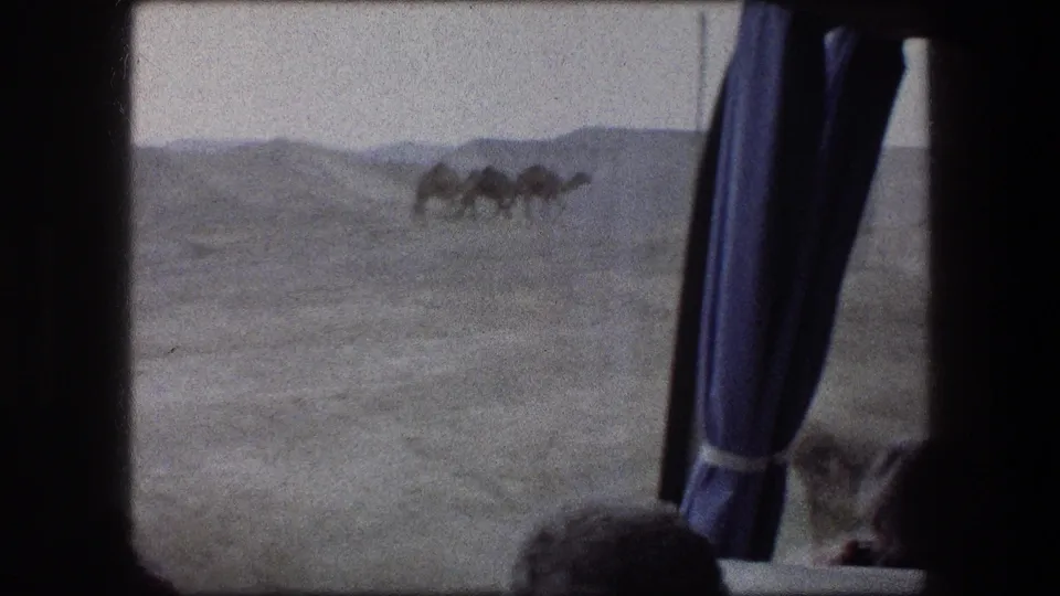 1976 8mm Messada, Israel frame showing distant camels beyond a vehicle window edge and blue curtain.
