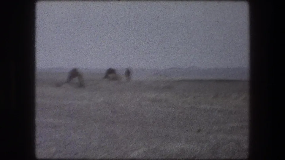 1976 Messada, Israel 8mm frame showing camels grazing near a rough desert track, with low hills and sparse brush in the distance.