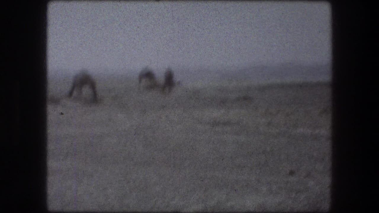 Blurred figures work across a flat field with a low horizon and hills beyond.