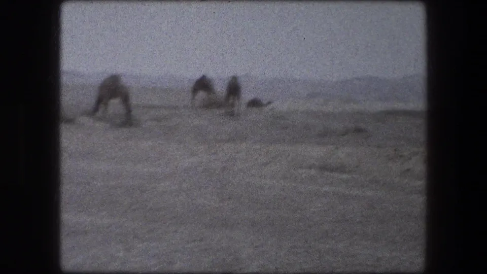 1976 Messada field scene with several figures bent over the earth, recorded in soft, grainy 8mm.