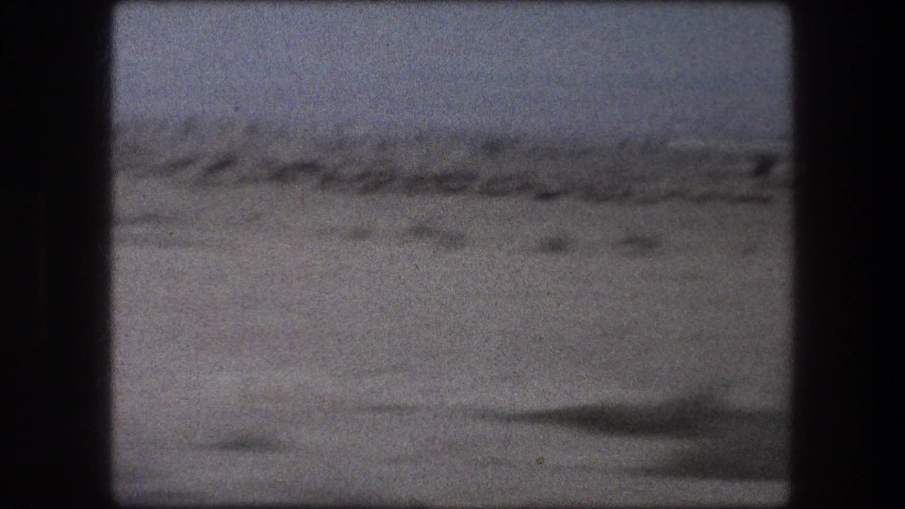Soft desert landscape with low scrub under a pale sky, framed by dark film edges.