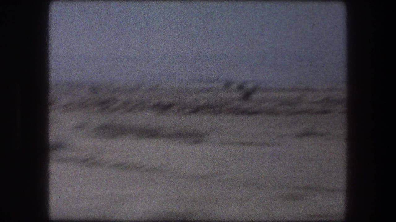 Grainy 1976 Messada, Israel desert view with low vegetation, a pale horizon, and dark frame edges from the film scan.