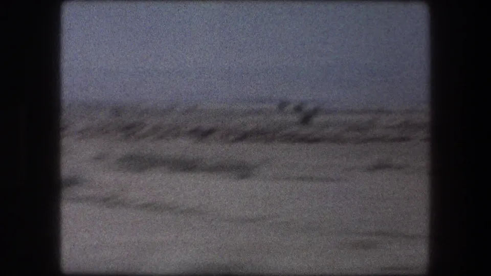 Grainy 1976 Messada, Israel desert view with low vegetation, a pale horizon, and dark frame edges from the film scan.