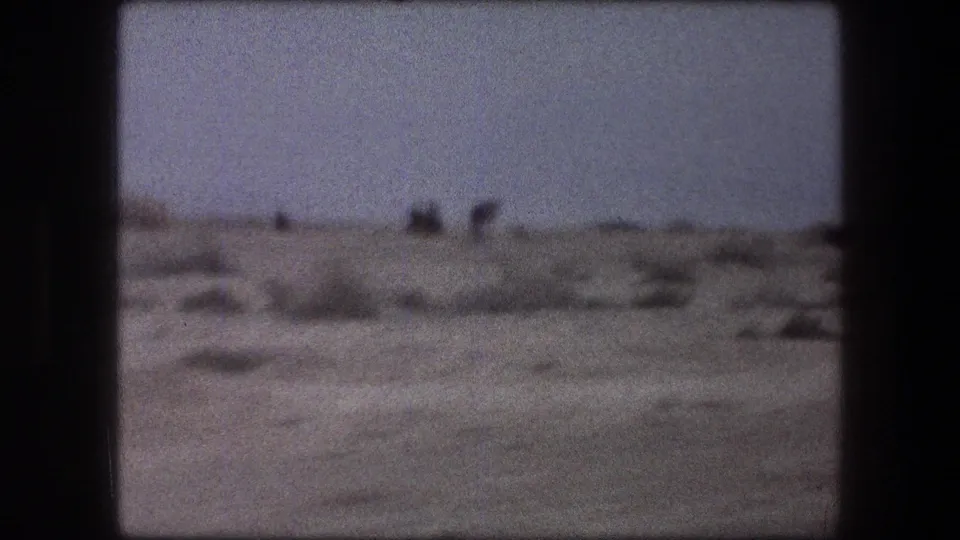 1976 8mm Messada, Israel frame with scattered desert brush, faint distant dark shapes, and a soft hazy horizon.