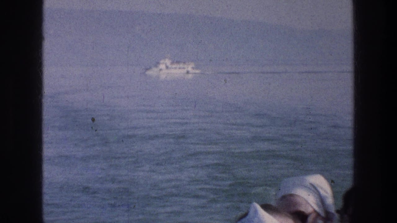 Distant white passenger boat on blue water behind dark vertical window bars.
