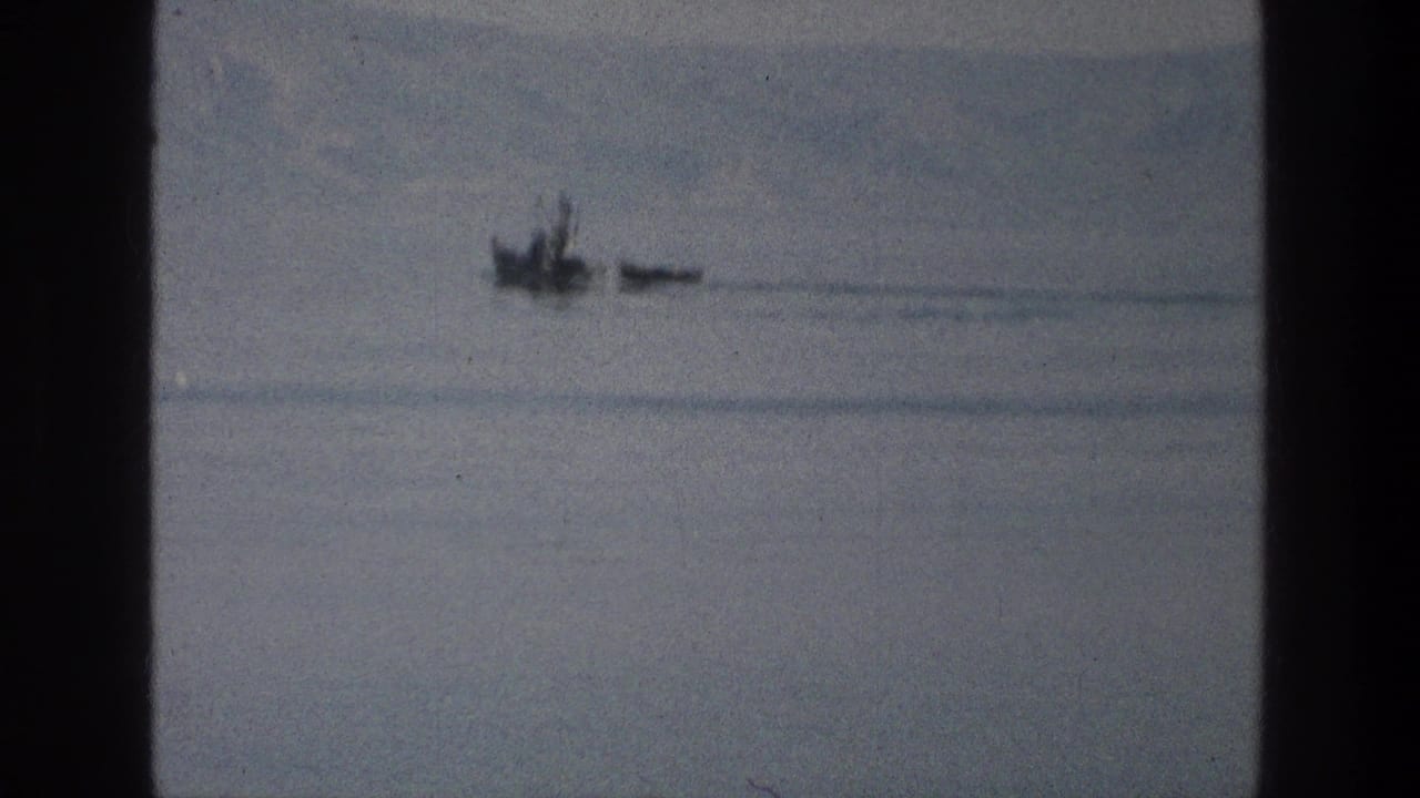 Small dark craft on hazy water with a faint wake and distant shoreline.