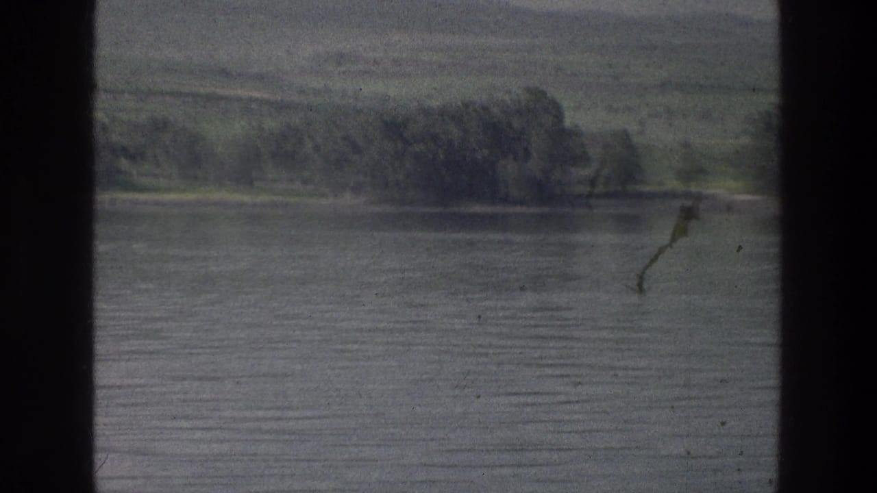 Soft 8mm Sea of Galilee shoreline view, showing calm water, a far bank of trees, and muted hills in the distance.