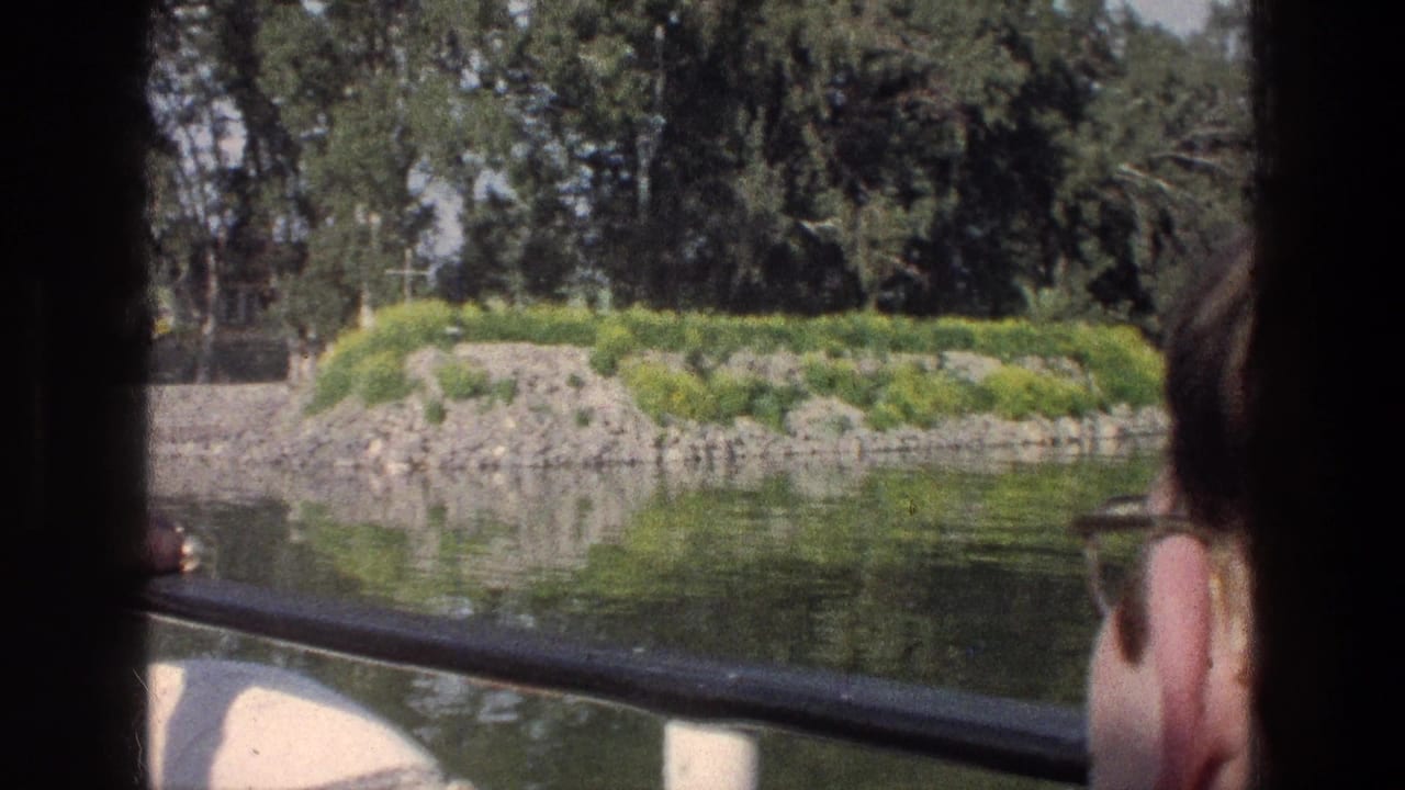 Partial profile of a boat passenger beside a rail with rocky shoreline and trees beyond.