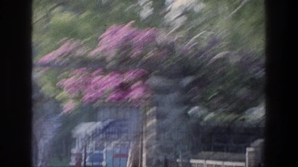 Motion-blurred 1976 8mm frame of purple flowering vines, stone posts, and greenery near a gate in the Sea of Galilee area.