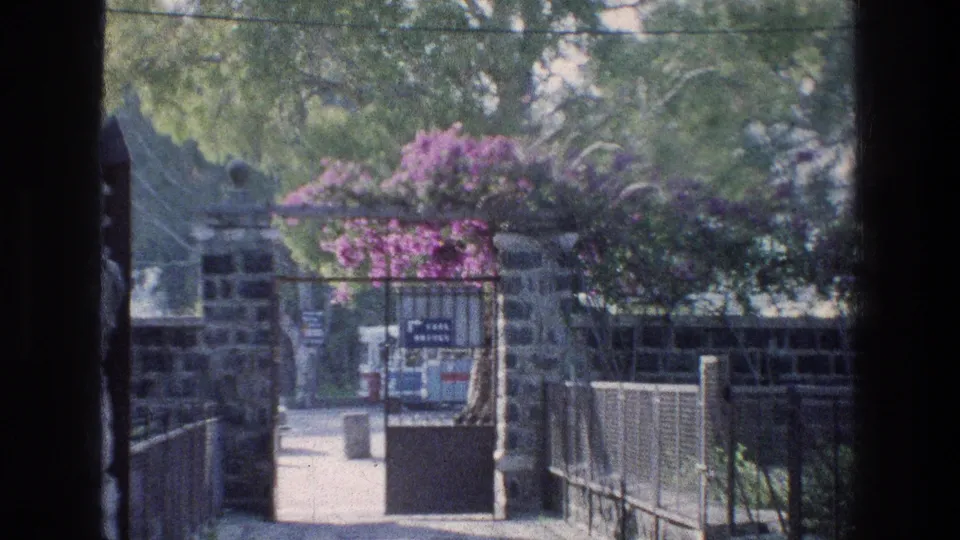 Visitor approach to St. Peter's House in Israel, seen through a stone entrance with bougainvillea, railings, and site signage.