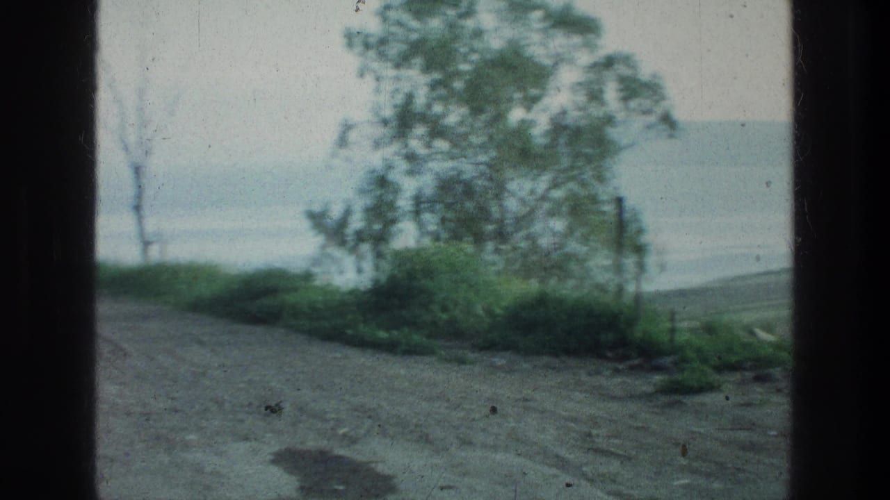 1976 8mm travel frame near the Sea of Galilee with a dirt road, roadside vegetation, trees, and lake water beyond.