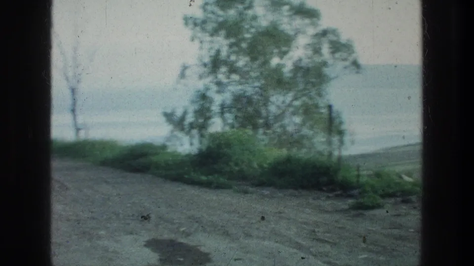 1976 8mm travel frame near the Sea of Galilee with a dirt road, roadside vegetation, trees, and lake water beyond.