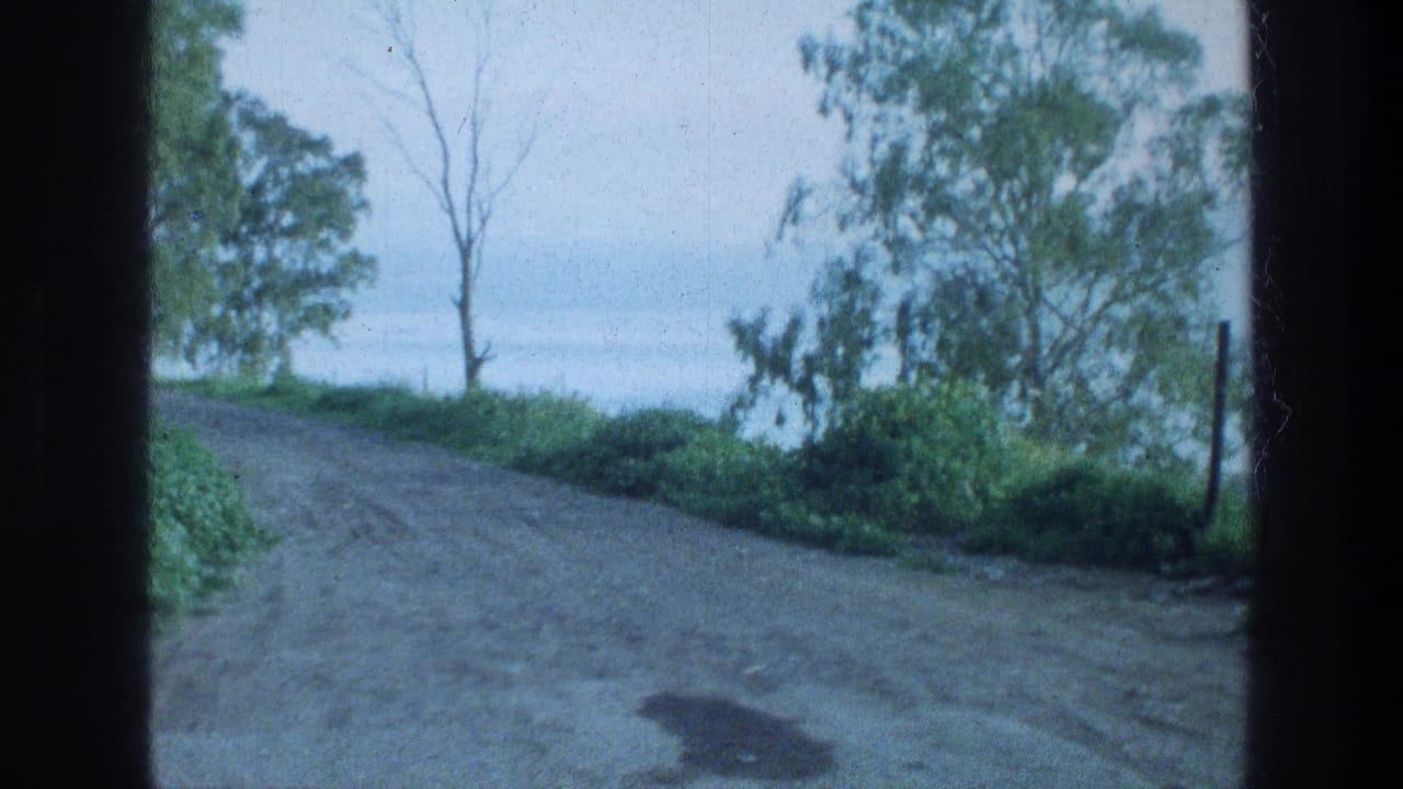 Dirt road curving toward trees and a pale body of water in the distance.
