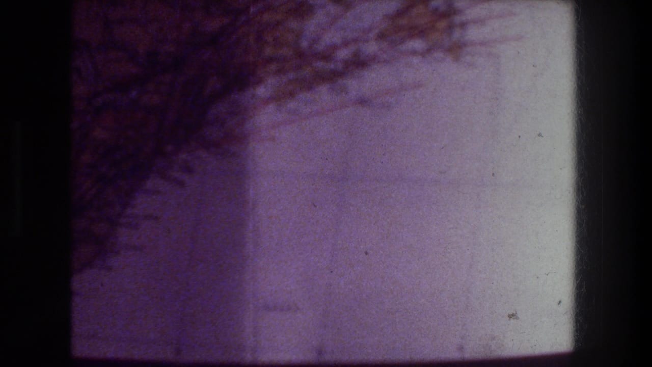 1976 Zurich 8mm frame with pale paper, faint grid lines, and dark textured shapes near the upper edge under a purple cast.