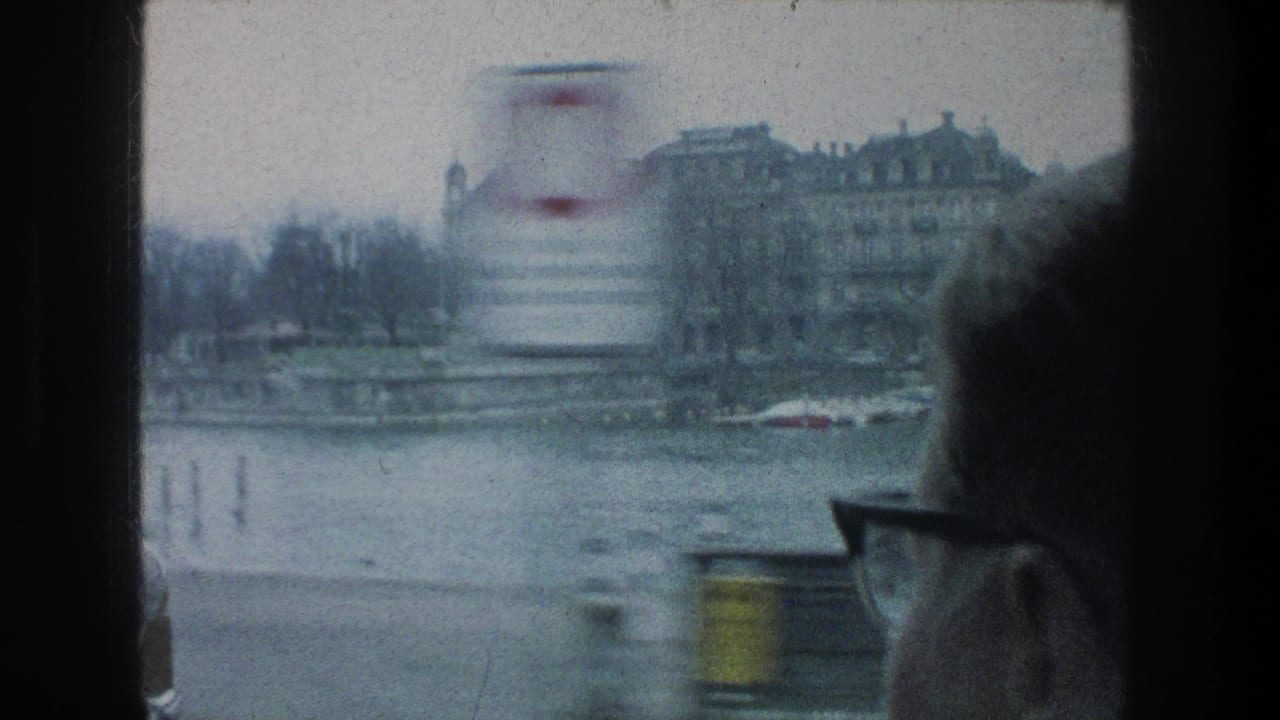 Misty Zurich waterfront seen from a moving vehicle window, with a blurred sign or pole and a passenger's glasses at the edge.