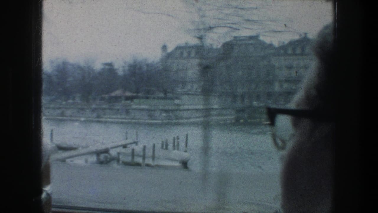 1976 Zurich lakefront view through glass, showing boats, bare trees, waterfront buildings, and a passenger in close foreground.