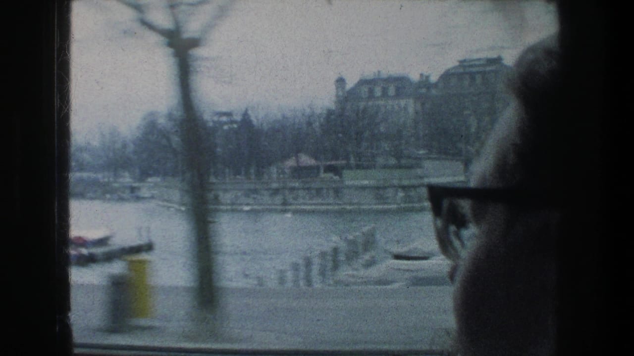 Person in glasses seen in silhouette beside a window overlooking a misty lake and docks.