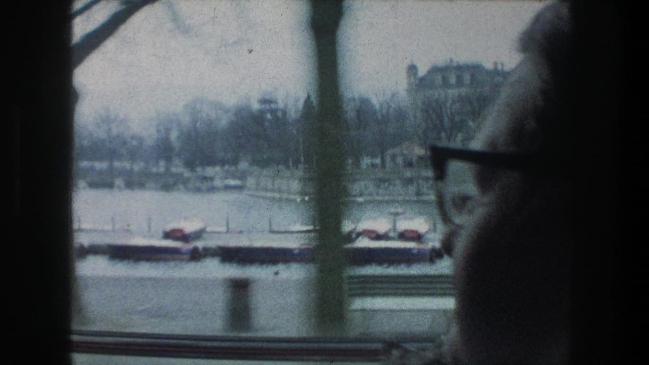 The Zurich lakeside view blurs slightly behind a person in glasses, with a dock, covered boats, bare trees, and railing visible through the window.