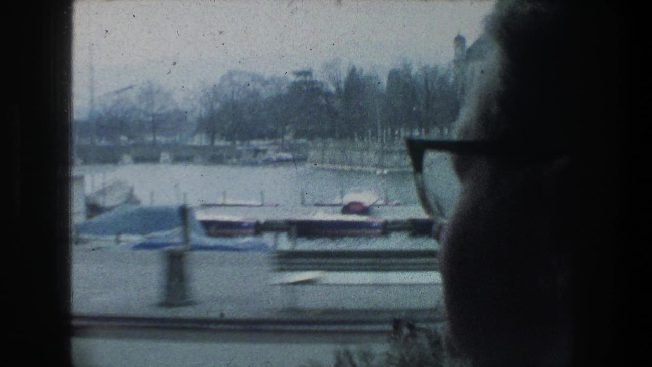 A shadowed close profile of the passenger frames a misty Zurich lake scene with boats, dock structures, railings, trees, and distant buildings.