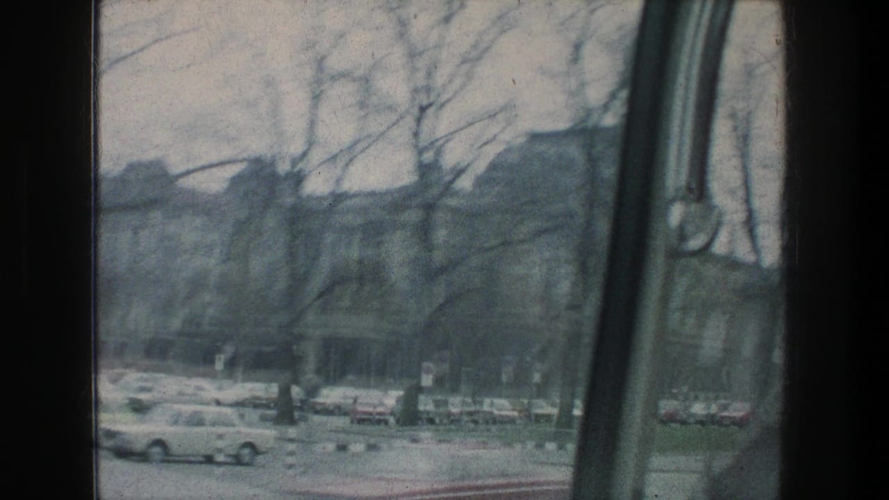 A moving-vehicle view in Zurich shows cars along the street, bare trees, urban buildings, and the vehicle window frame.