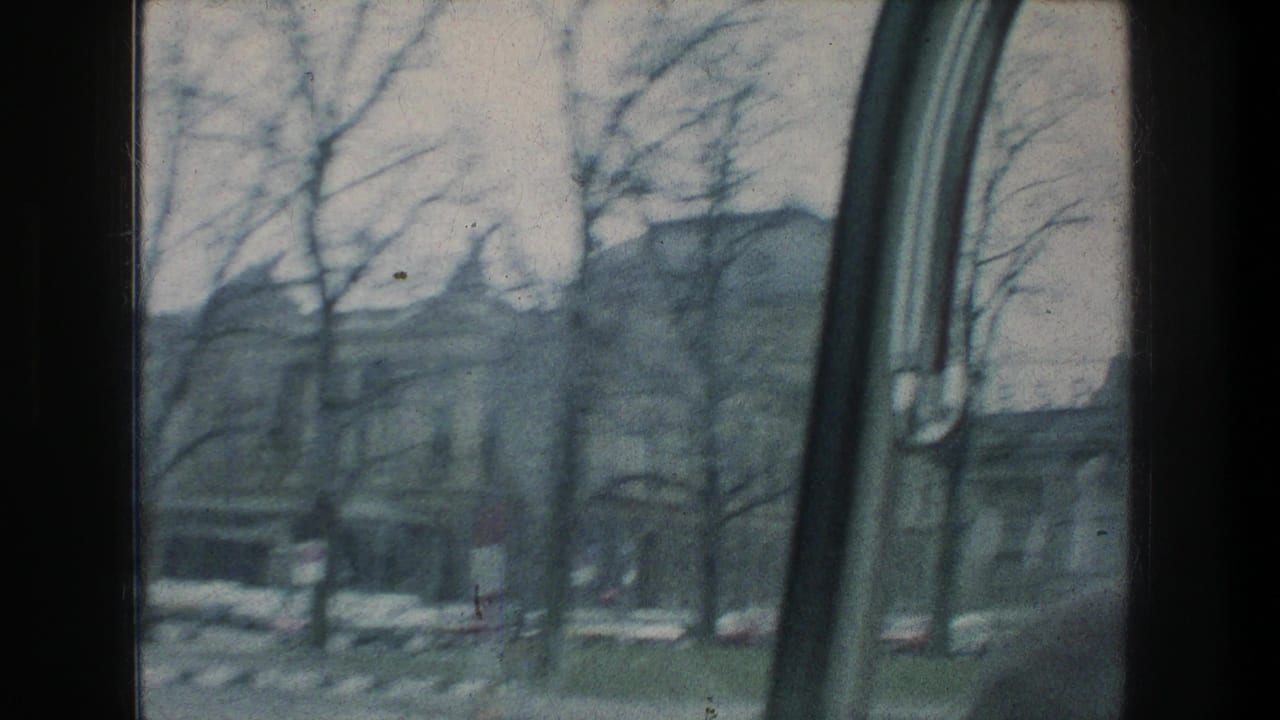 1976 Zurich street view from inside a moving vehicle, with leafless trees, a grass verge, and soft-focus masonry buildings.
