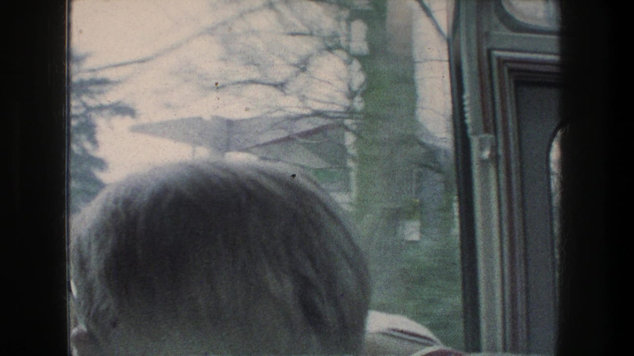Passenger seen from behind at a bus window during a 1976 Zurich-area ride, with bare trees and green grass outside.