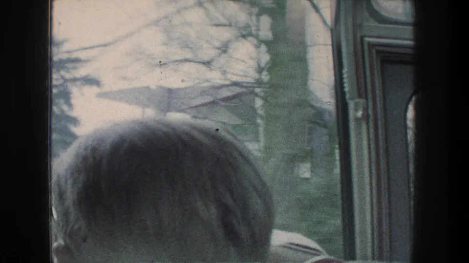 Passenger seen from behind at a bus window during a 1976 Zurich-area ride, with bare trees and green grass outside.