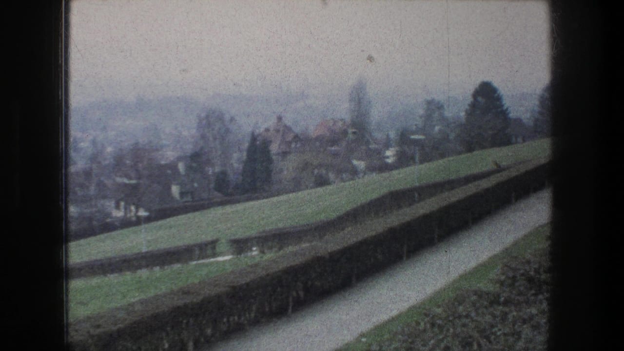 Misty hillside townscape seen past a hedge and narrow path.