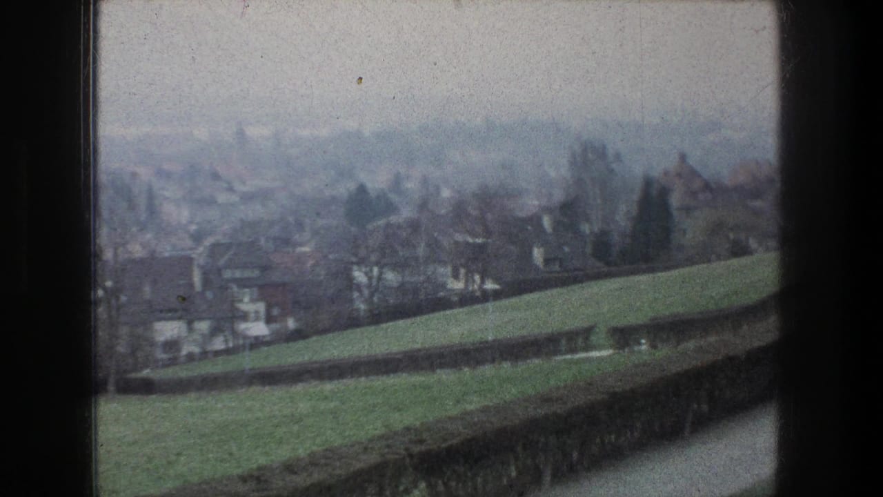 Misty Zurich-area suburban hillside with grass, a clipped hedge, rooftops, and bare trees framed by the film edge.