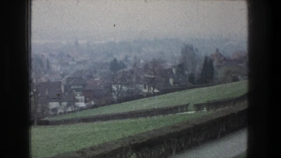 Misty Zurich-area suburban hillside with grass, a clipped hedge, rooftops, and bare trees framed by the film edge.
