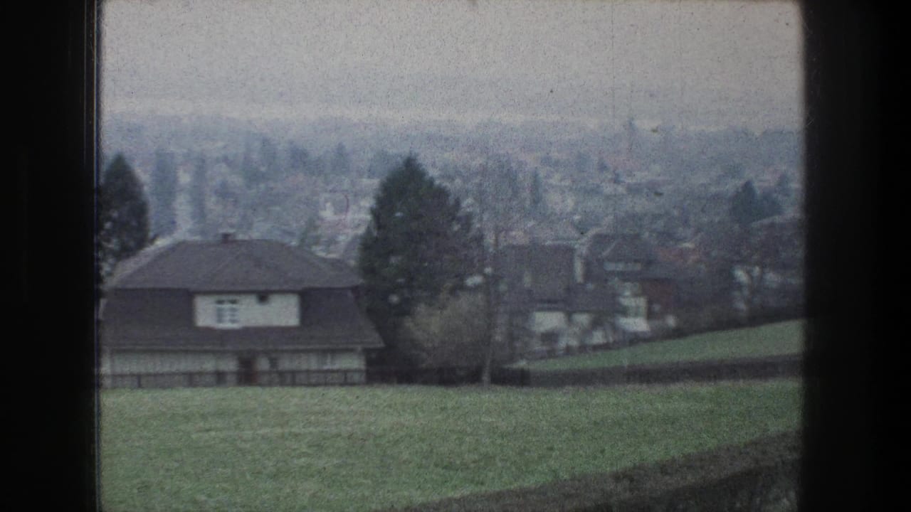 1976 Zurich suburban view with a house in the foreground, open grass, trees, and a soft hazy city backdrop.