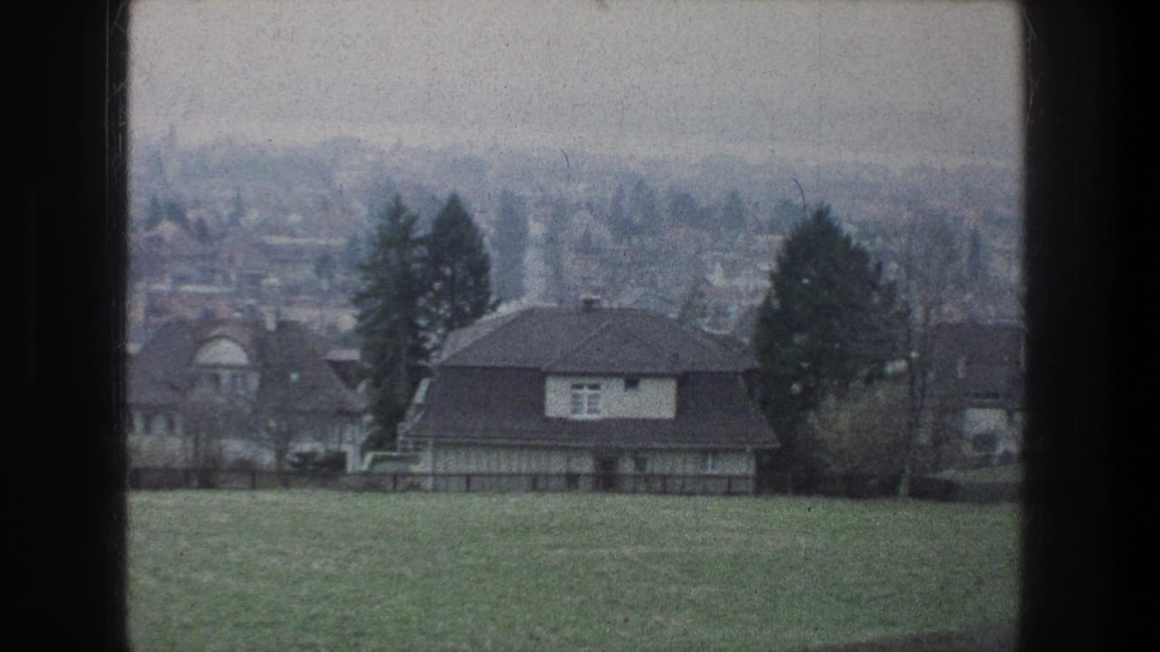1976 Zurich home-movie frame showing a grassy slope, nearby houses, trees, and a soft distant neighborhood view.