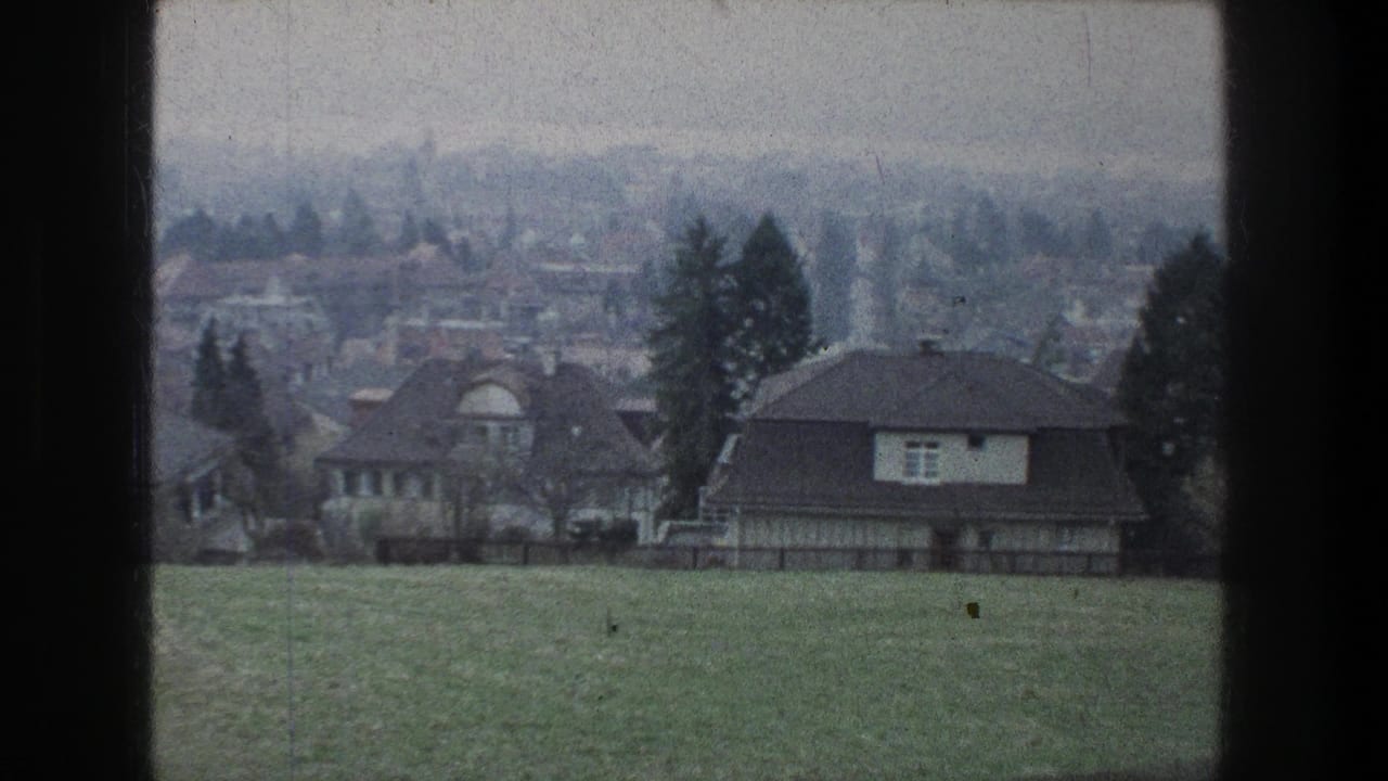 1976 Zurich view with houses, dark roofs, evergreen trees, and distant buildings under an overcast sky.