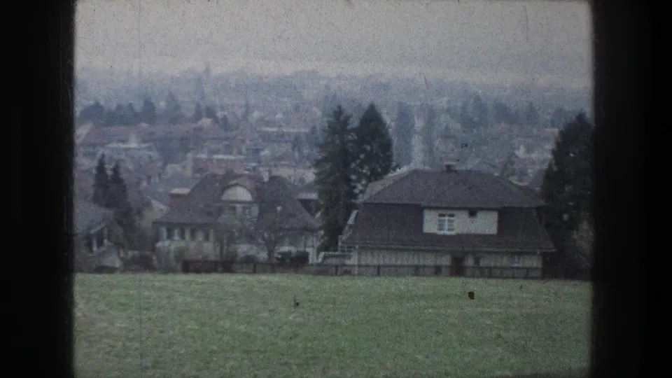 1976 Zurich view with houses, dark roofs, evergreen trees, and distant buildings under an overcast sky.