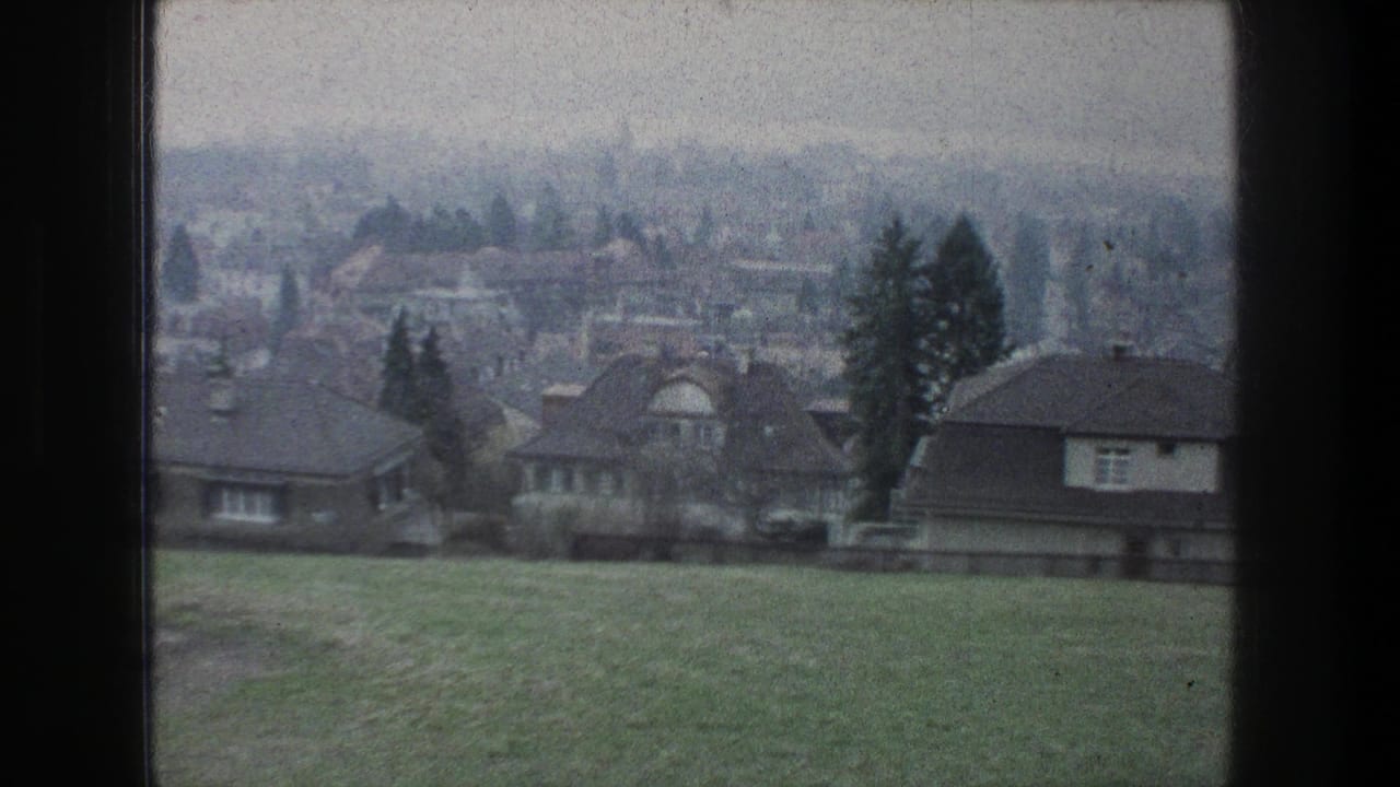 Soft 8mm frame from Zurich in 1976 showing hillside grass, residential houses, rooftops, trees, and a hazy urban background.