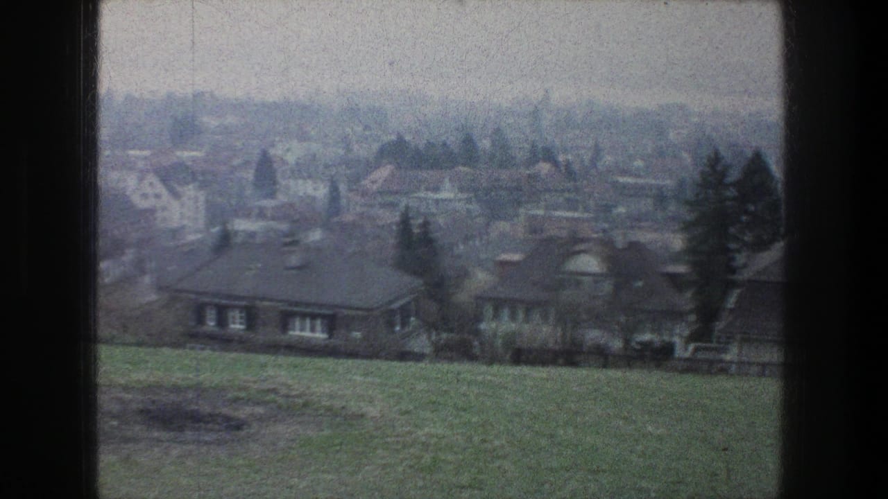 Zurich 1976 hillside view with grass in the foreground, houses below, and a muted residential district in the distance.