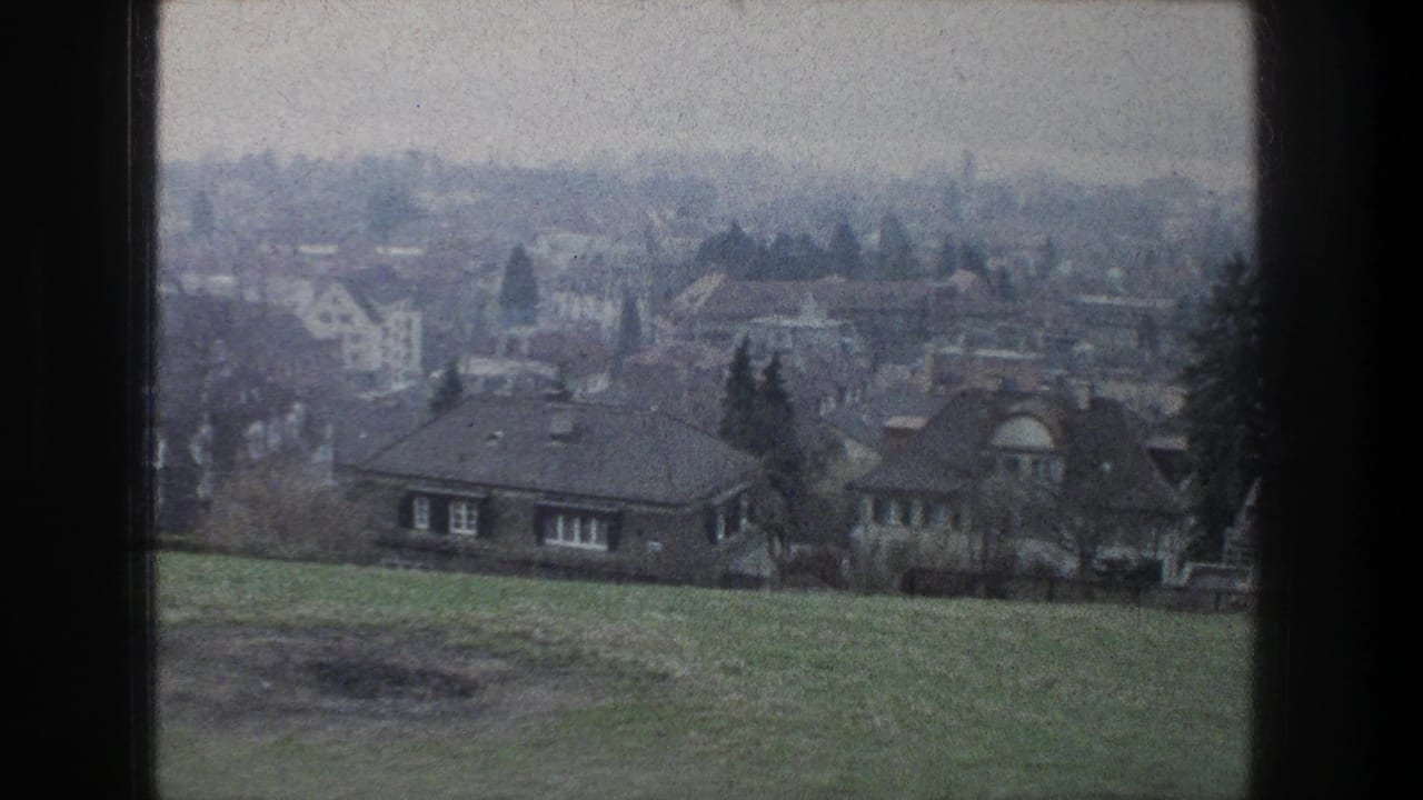 1976 Zurich home-movie frame showing a hazy town view from a grassy slope, with houses, bare trees, and an overcast sky.