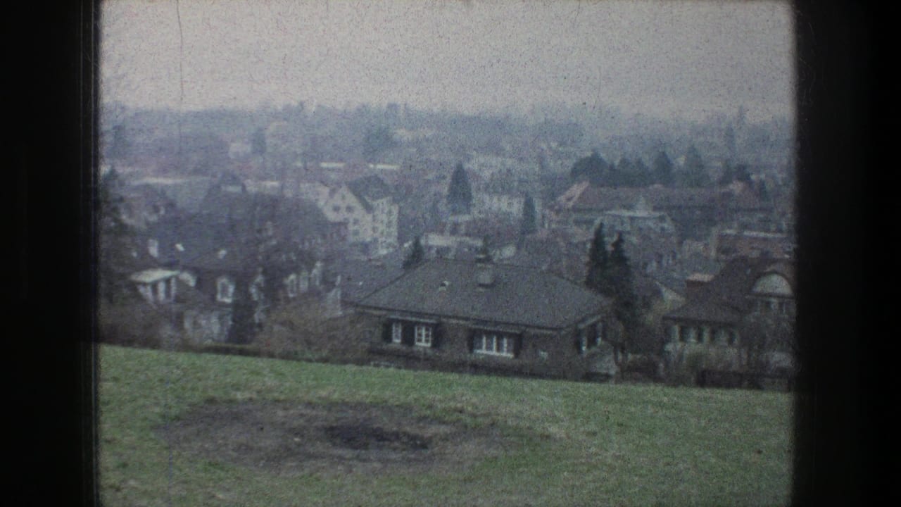 Hazy 1976 Zurich view across a grassy foreground toward houses, trees, and low buildings in muted 8mm color.