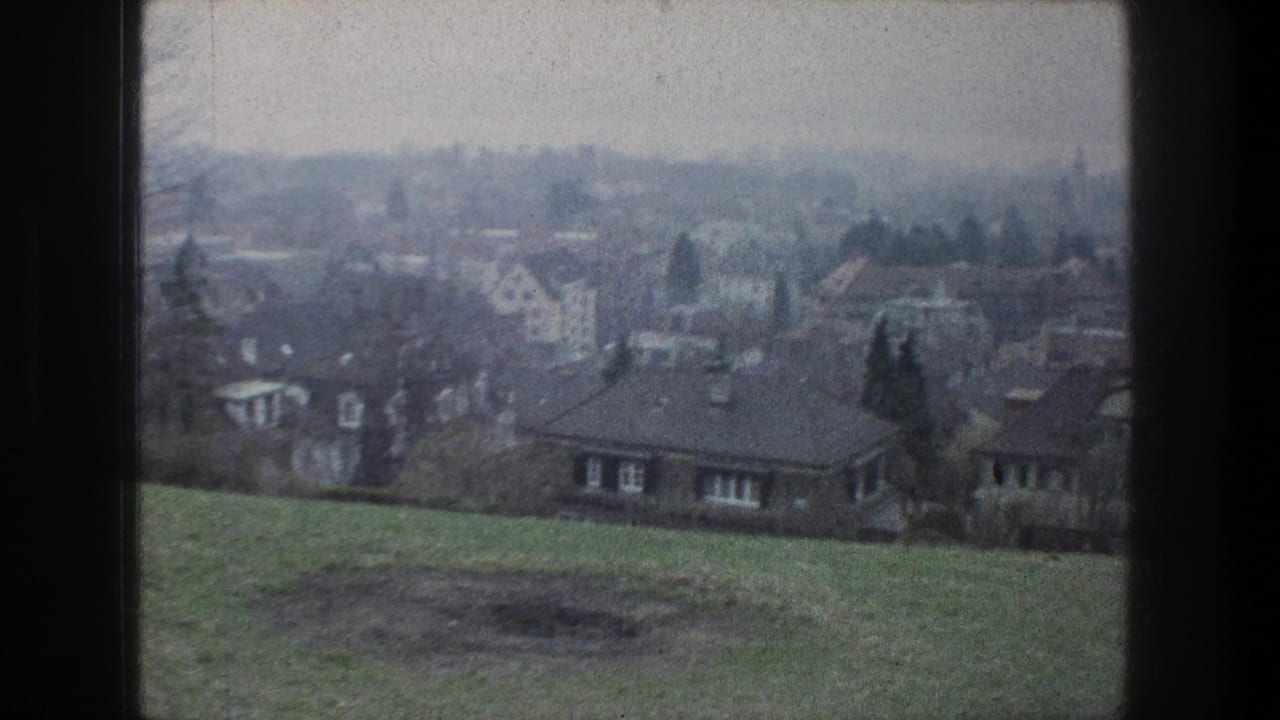 Zurich hillside view in bleached 8mm color, looking over grass toward houses and trees beneath a hazy sky.
