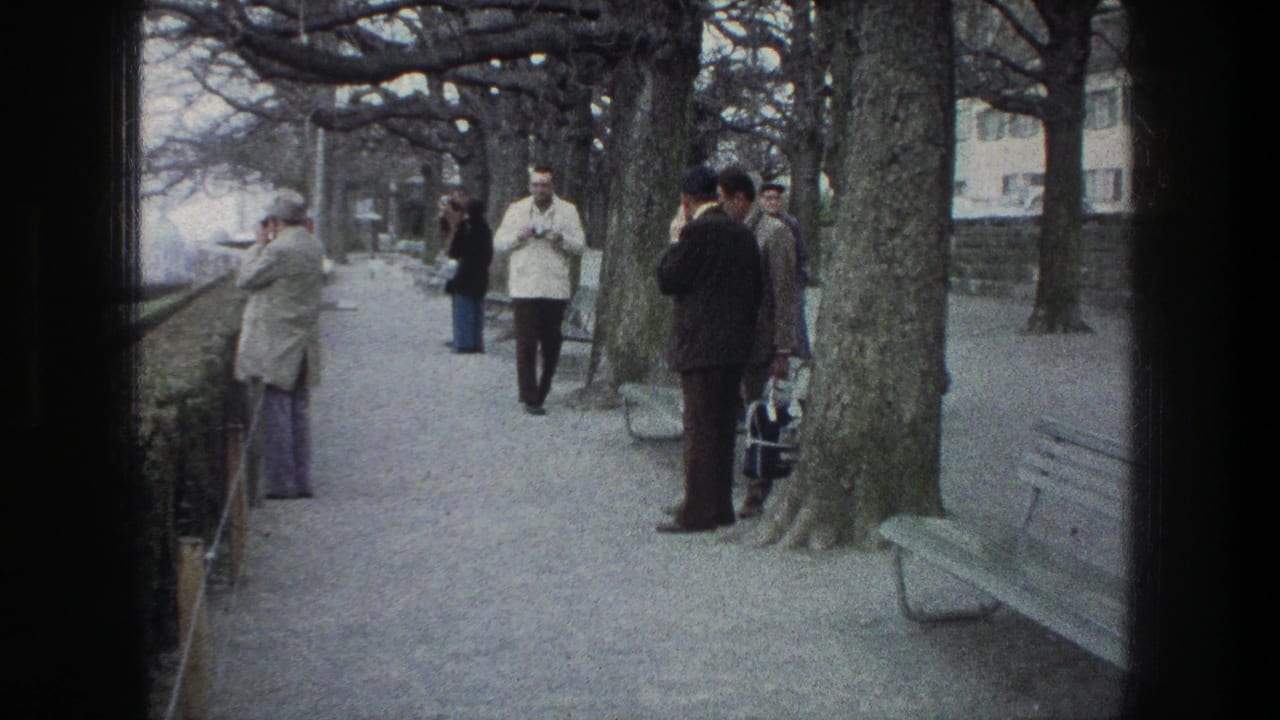 Adult visitors in Zurich stand near large trees and benches, with one man appearing to handle a still camera during the 1976 home-movie scene.