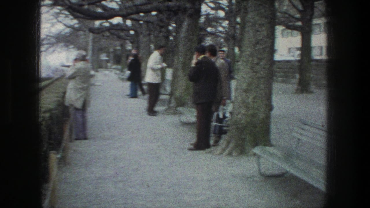 The Zurich sightseeing group stands loosely along the path, with benches, bare trees, a stone wall, and distant buildings in view.