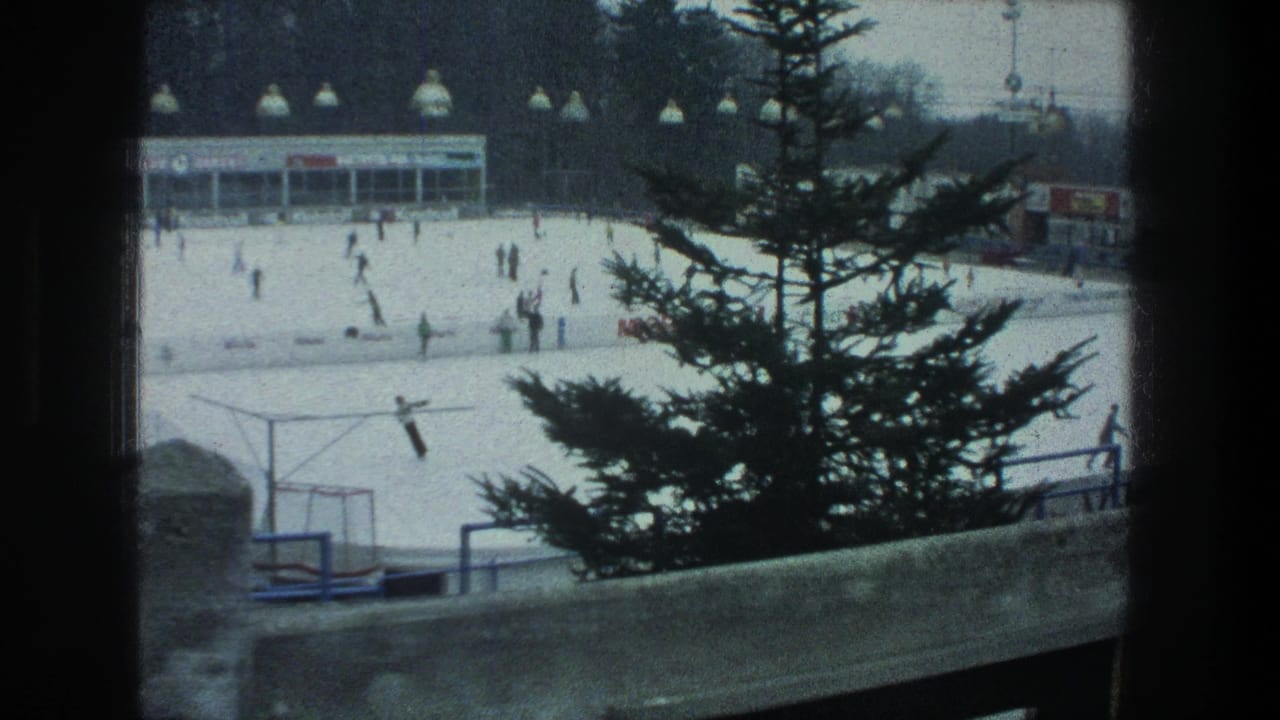 Snowy outdoor skating rink seen past a pine tree and concrete barrier.