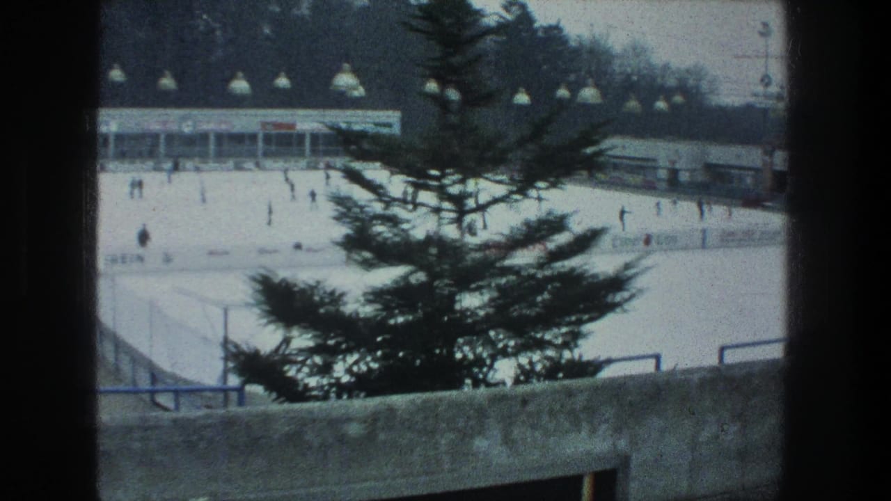1976 Zurich rink view with pine branches in the foreground, small skaters on the ice and low buildings under winter light.