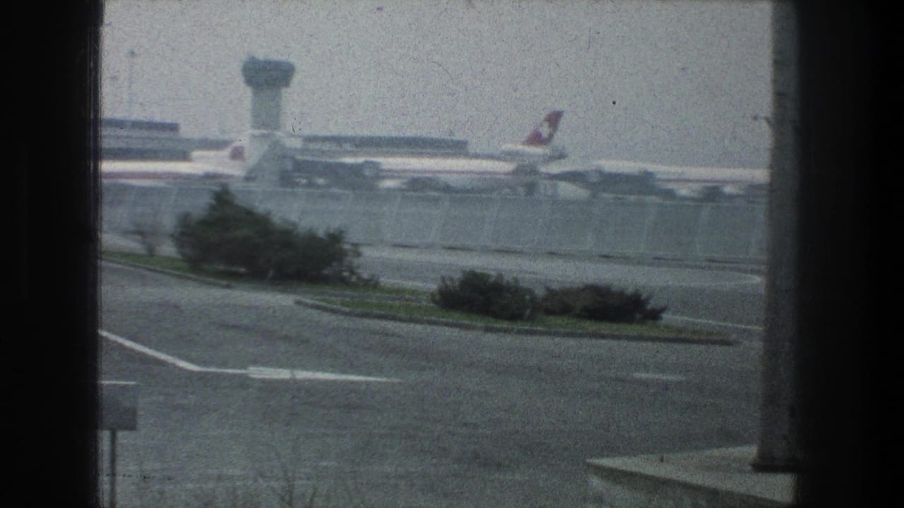 1976 Zurich Airport view through a window with Swissair aircraft tails, terminal structures, road pavement, shrubs, and a distant tower.