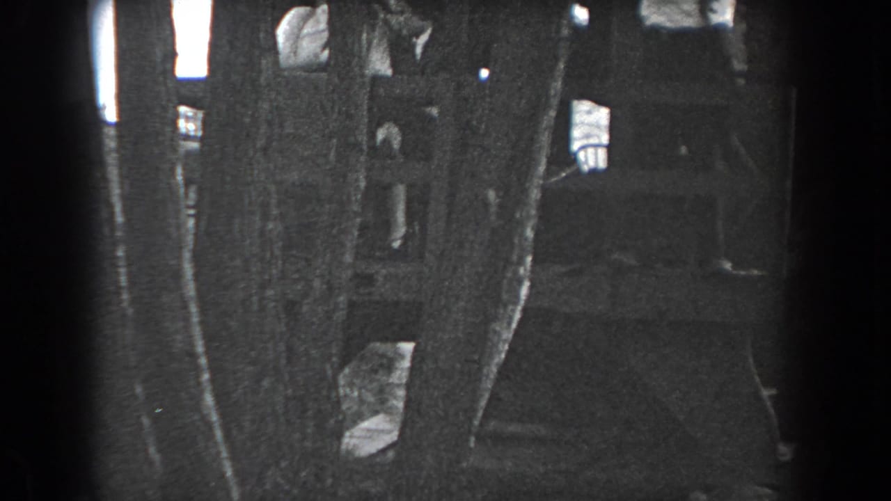 1938 Reading, Pennsylvania frame with several people partly obscured by tall trees near a wooden structure in low light.