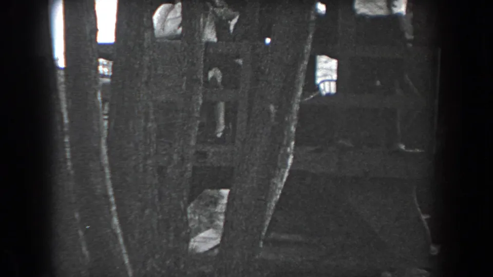 1938 Reading, Pennsylvania frame with several people partly obscured by tall trees near a wooden structure in low light.