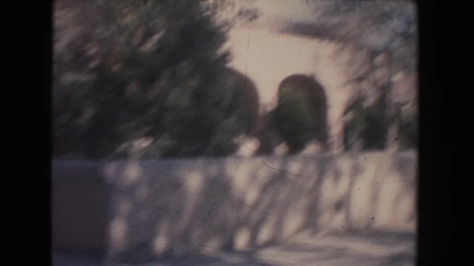 Soft 1951 New Mexico 8mm view of shrubs and white arches beyond a low stone wall during a handheld pan.