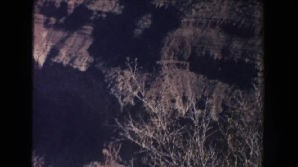The final frame shifts toward a darker canyon wall with bare branches in the foreground and little or no visible human detail.