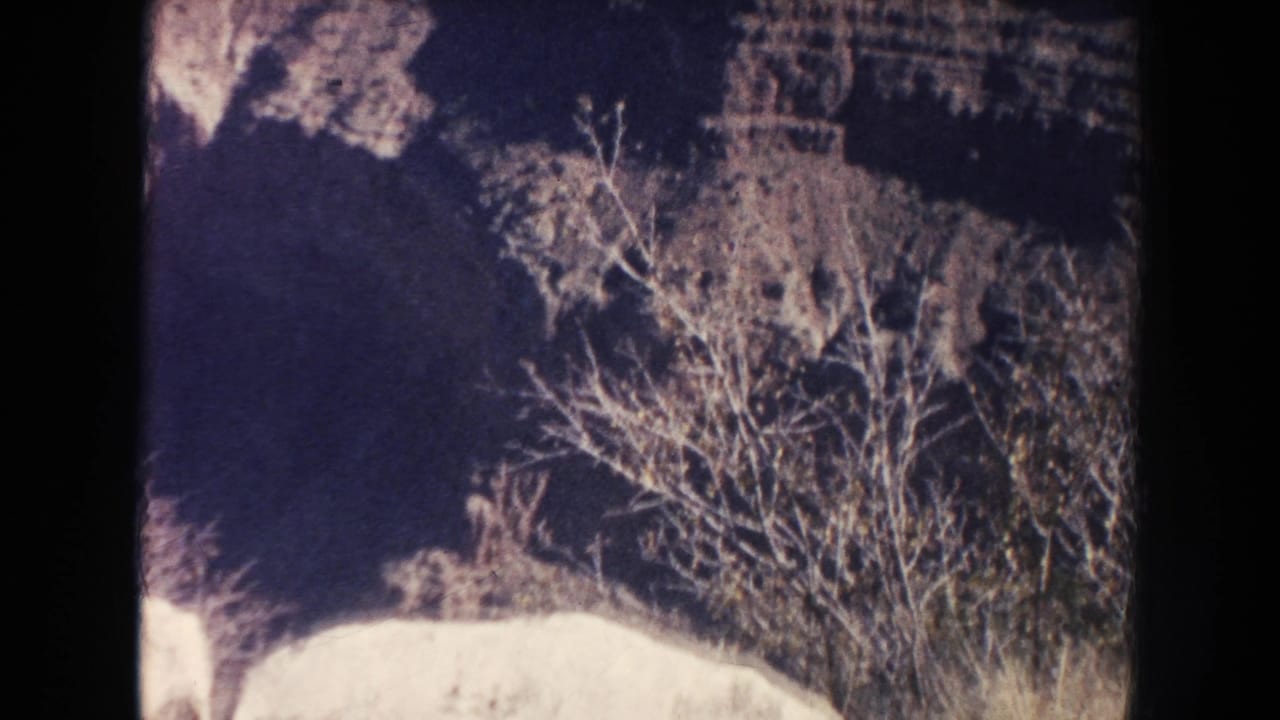 1951 8mm frame of a dry canyon edge or rocky slope with pale brush, heavy shadow, and visible film gate borders.